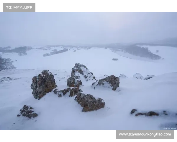 冬季湖畔探秘之旅如何规划行程欣赏雪景与自然奇观的完美体验