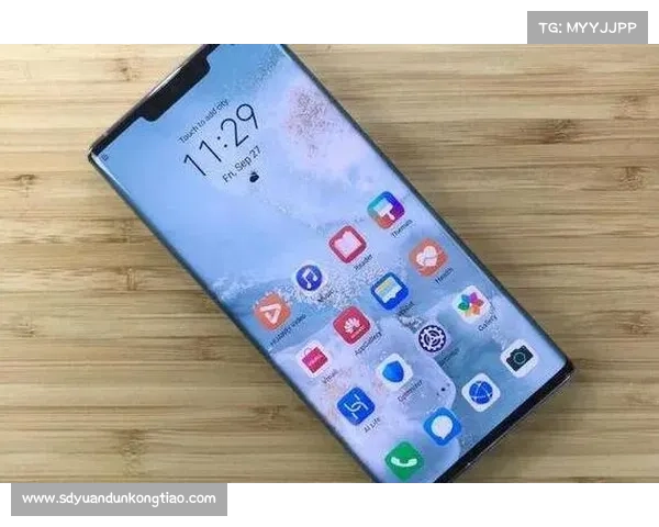 MorphVox Pro语音变换功能解析详解