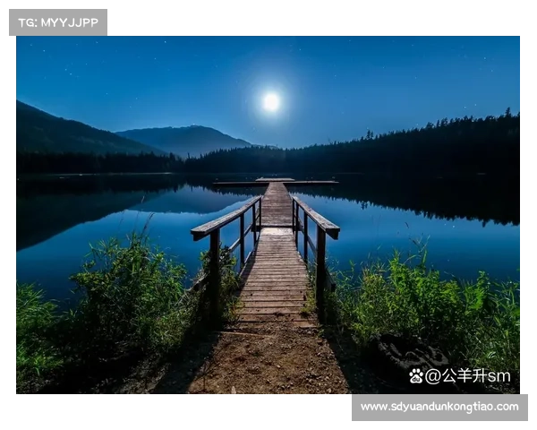 冬日湖畔漫步：探索宁静冰雪世界中的诗意与神秘之旅