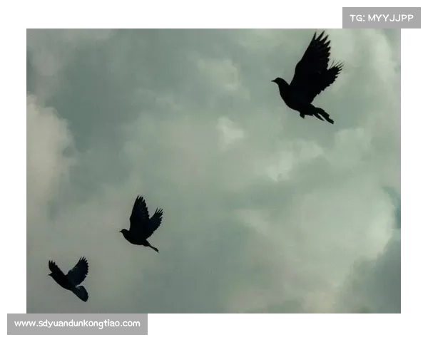 巴舒亚伊语言特点解析：五大语言特征揭示其独特表达风格与文化背景