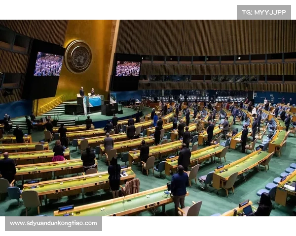 揭密海瑟尔关事件背后各大球队错综复杂的历史关联与竞技格局演变