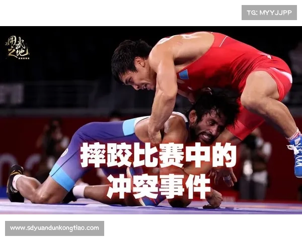 如何有效应对裁判误判事件并保障比赛公正性的策略分析